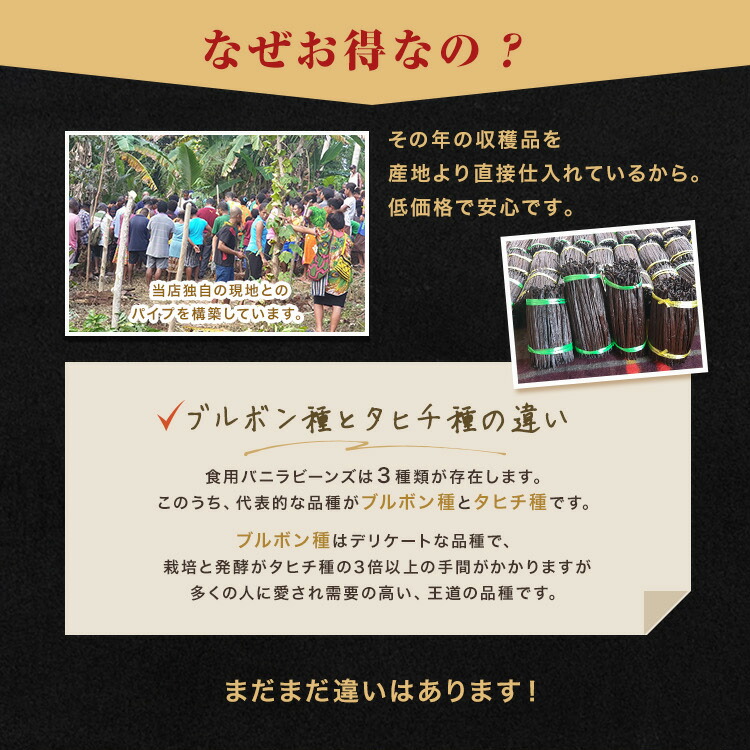 香り純度一般比1.5倍【極長19-23cm】【1本】バニラビーンズパプアニューギニア産バニラ製菓用ペーストエッセンスブルボンビーンズバニラエッセンスおすすめヴァニラパウダー業務用香り自宅用バニラ母の日