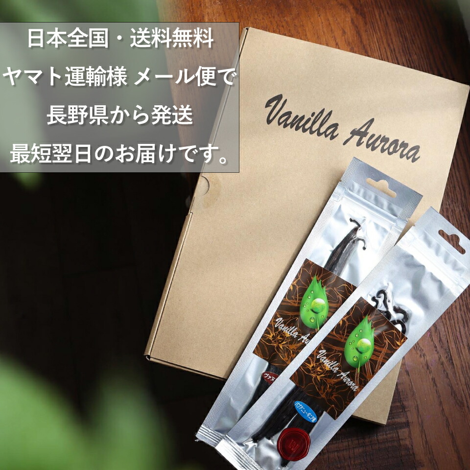 【51%OFF】【11%OFFクーポン配布中&ポイント10倍】【10本】バニラビーンズパプアニューギニア産バニラ製菓用ペースト人気ブルボンビーンズ粒バニラエッセンスヴァニラ福袋パウダー香りバニラペースト14-15cmクラフトコーラビール母の日春ギフト