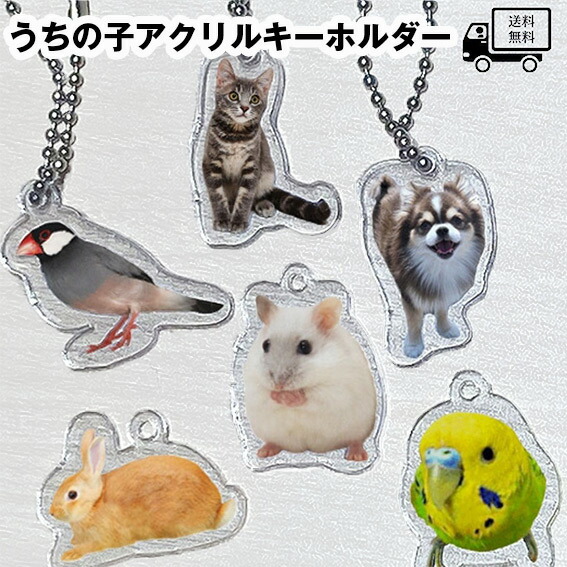 買い誠実 アクリルキーホルダー ペット オリジナル グッズ うちの子 プレゼント メール便 送料無料 犬 猫 うさぎ ギフト オーダーメイド キーホルダー アクキー かわいい Toyama Nozai Co Jp