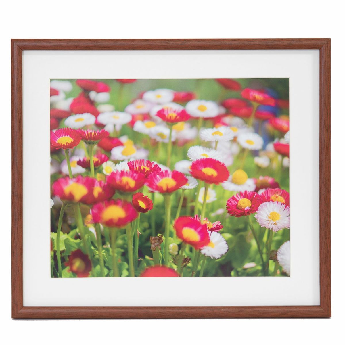 楽天市場】受発注品 フジカラー 木製額縁 M21 ワイド4切 ブラウン