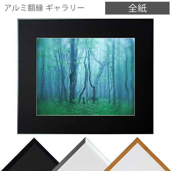 楽天市場】受発注商品 ケンコー・トキナー アルミ額縁 画廊 半切