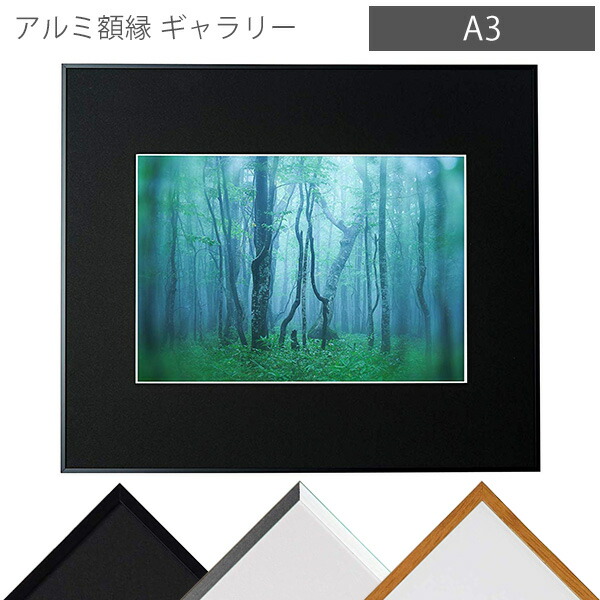 写真額　A3サイズ（ホワイト、シルバー）kenko 画廊　有名メーカー　未使用品 Amazon.co.jp: 【Amazon.co.jp限定】ケンコー Kenko ポスター用