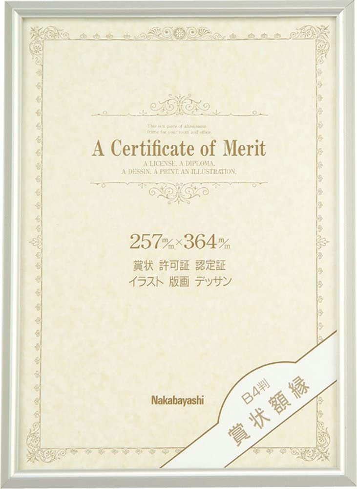 楽天市場】【受発注品】軽量 ナカバヤシ 樹脂製 賞状額 金ラック A4（JIS規格）フ-KWP-13/V : 万丈〜額縁・アルバム・雑貨の老舗