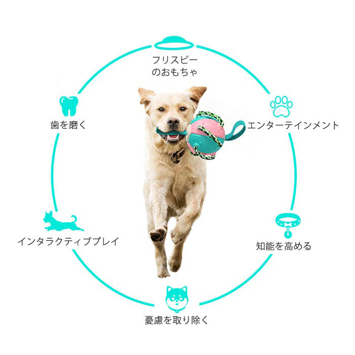 期間限定 クーポンで800円off 犬 ワンちゃん 歯磨きボール 犬遊び用 投げるおもちゃ ペットおもちゃ 噛むおもちゃ おもちゃ ドッグトイ