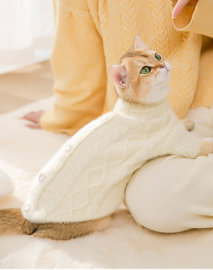 ペットの服 セーター 通気性 猫服 ドッグウェア 冬用 キャット 猫のセーター 柔らかい 面白い 可愛い 犬 コスチューム 写真 ネコ