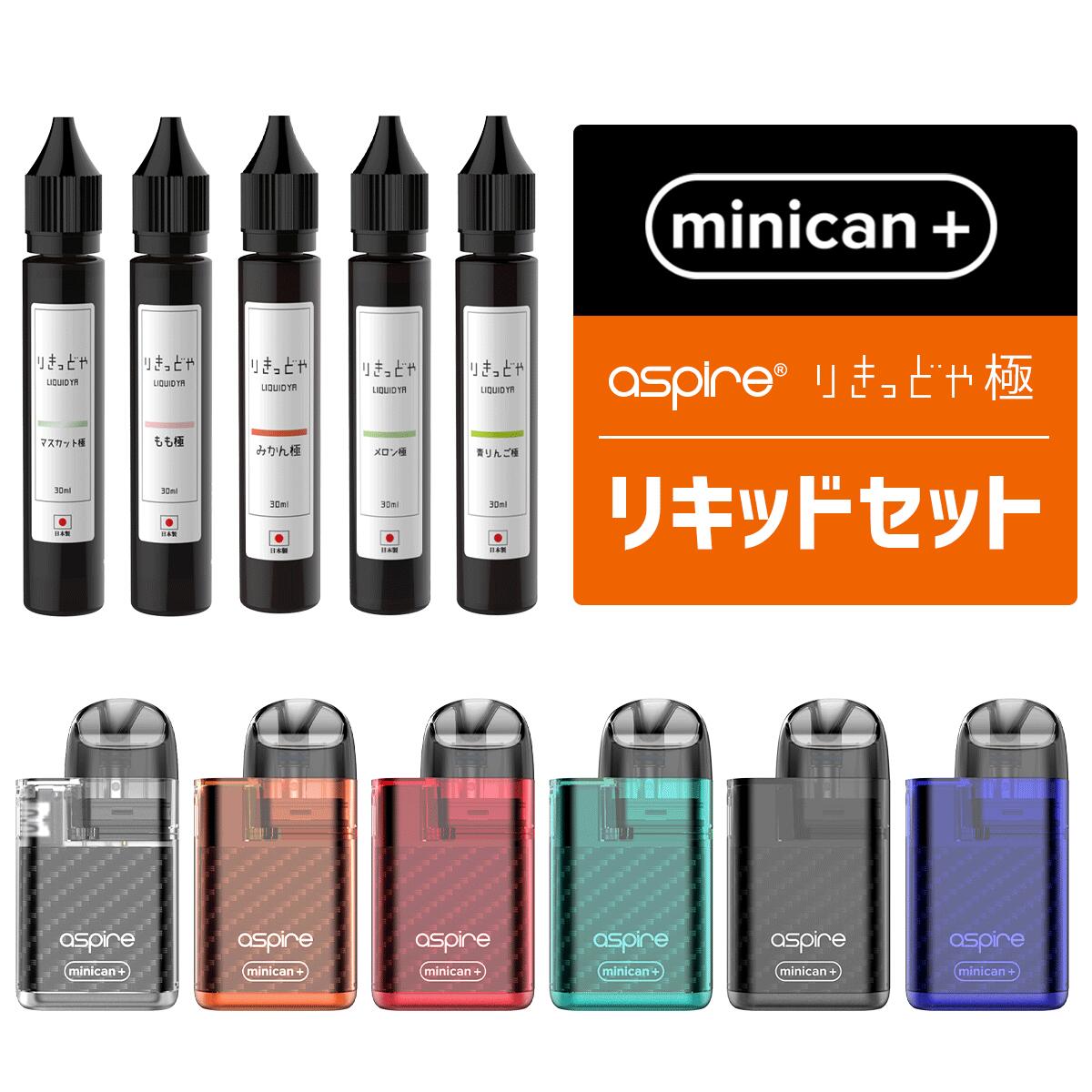 市場 Mincan+ ベプログ ミニカンプラス ベイプ VAPE 禁煙 電子タバコ ベープ 本体 スターターキット りきっどや極セット