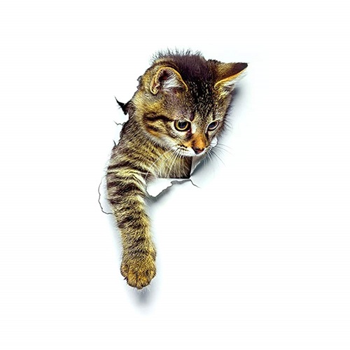 楽天市場 飛び出す 猫の3dウォールステッカー 01 壁紙 シール 猫 ネコ ねこ 定形外郵便 送料無料 代引不可 Le Ciel