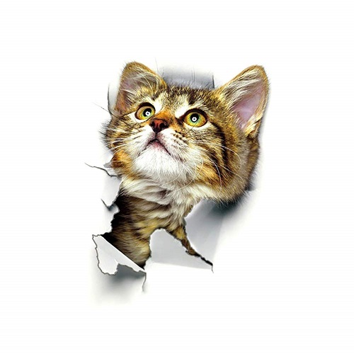 楽天市場 飛び出す 猫の3dウォールステッカー 01 壁紙 シール 猫 ネコ ねこ 定形外郵便 送料無料 代引不可 Le Ciel