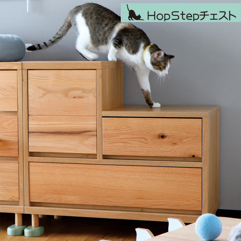 楽天市場】猫 ねこ ネコ 猫家具 チェスト ロー コンパクト 省スペース