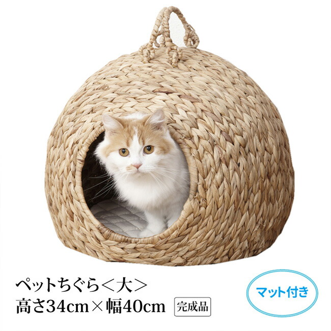 最大10 Offクーポン ペットちぐら 大 猫ちぐら ペットハウス 猫小屋 猫ハウス キャットハウス 猫用品 ペット用品 ねこちぐら K403 00 00 Adrm Com Br