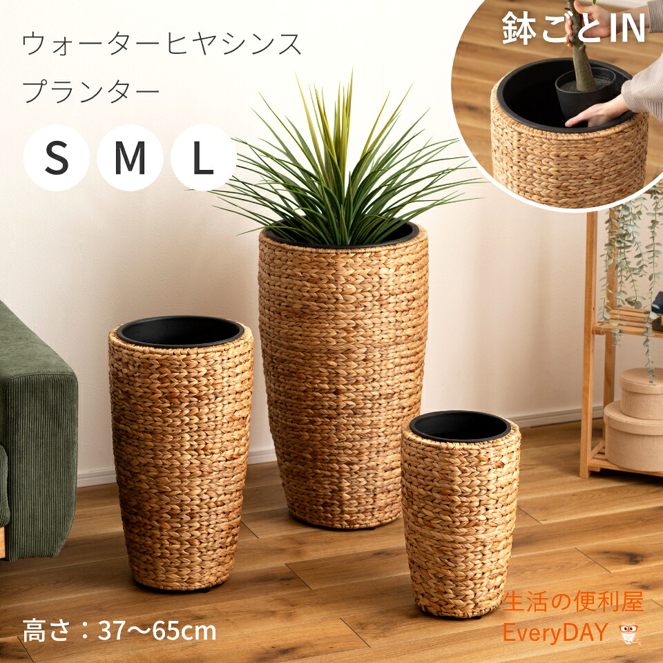 今週の御気に入り度合い