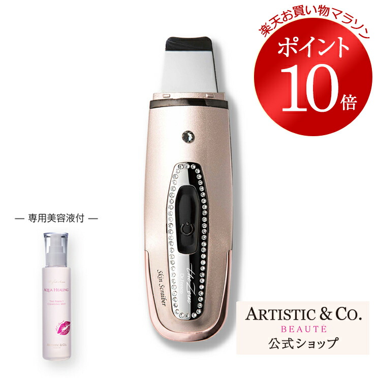 ARTISTIC&CO. 美顔器 スキンスクライバー 2点セット-