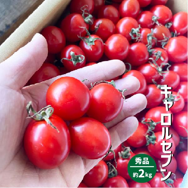 トマト 楽天市場】群馬県産 トマト ブリックスナイン A等級 Lサイズ 12玉入り