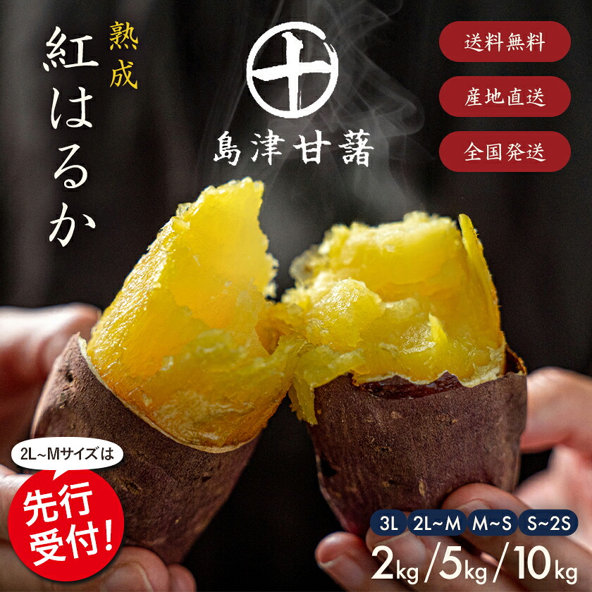 さつまいも 紅はるか 2kg 5kg 10kg 送料無料 熟成 さつま芋 訳あり じゃない サツマイモ 箱買い 大量 お買い得 詰め合わせ 国産 都城市 べにはるか 土付き ギフト 生芋 16週連続1位【※2L~Mサイズのみ11月以降お届けの先行受付】