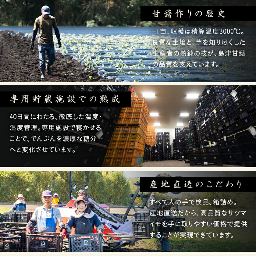 さつまいも 紅はるか 2kg 5kg 10kg 送料無料 熟成 さつま芋 訳あり じゃない サツマイモ 箱買い 大量 お買い得 詰め合わせ 国産 都城市 べにはるか 土付き ギフト 生芋 16週連続1位【※2L~Mサイズのみ11月以降お届けの先行受付】