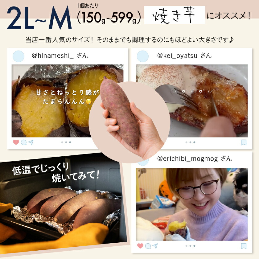 さつまいも 紅はるか 2kg 5kg 10kg 送料無料 熟成 さつま芋 訳あり じゃない サツマイモ 箱買い 大量 お買い得 詰め合わせ 国産 都城市 べにはるか 土付き ギフト 生芋 16週連続1位【※2L~Mサイズのみ11月以降お届けの先行受付】