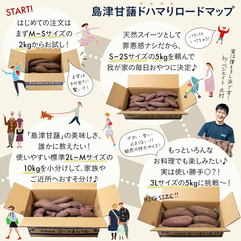 さつまいも 紅はるか 2kg 5kg 10kg 送料無料 熟成 さつま芋 訳あり じゃない サツマイモ 箱買い 大量 お買い得 詰め合わせ 国産 都城市 べにはるか 土付き ギフト 生芋 16週連続1位【※2L~Mサイズのみ11月以降お届けの先行受付】
