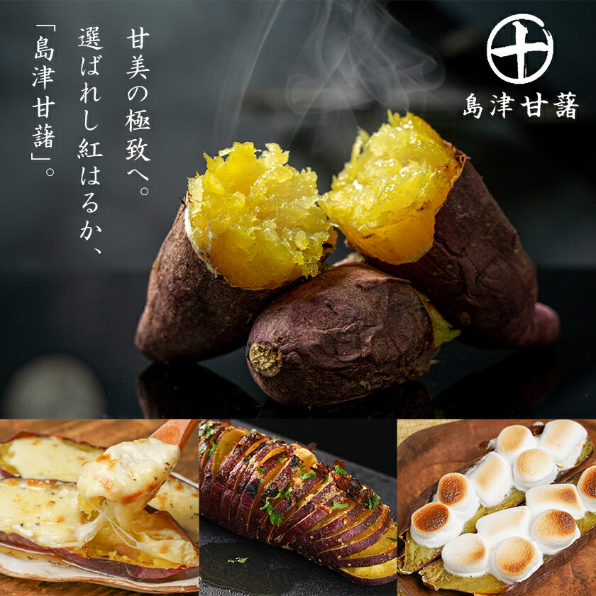 さつまいも 紅はるか 2kg 5kg 10kg 送料無料 熟成 さつま芋 訳あり じゃない サツマイモ 箱買い 大量 お買い得 詰め合わせ 国産 都城市 べにはるか 土付き ギフト 生芋 16週連続1位【※2L~Mサイズのみ11月以降お届けの先行受付】