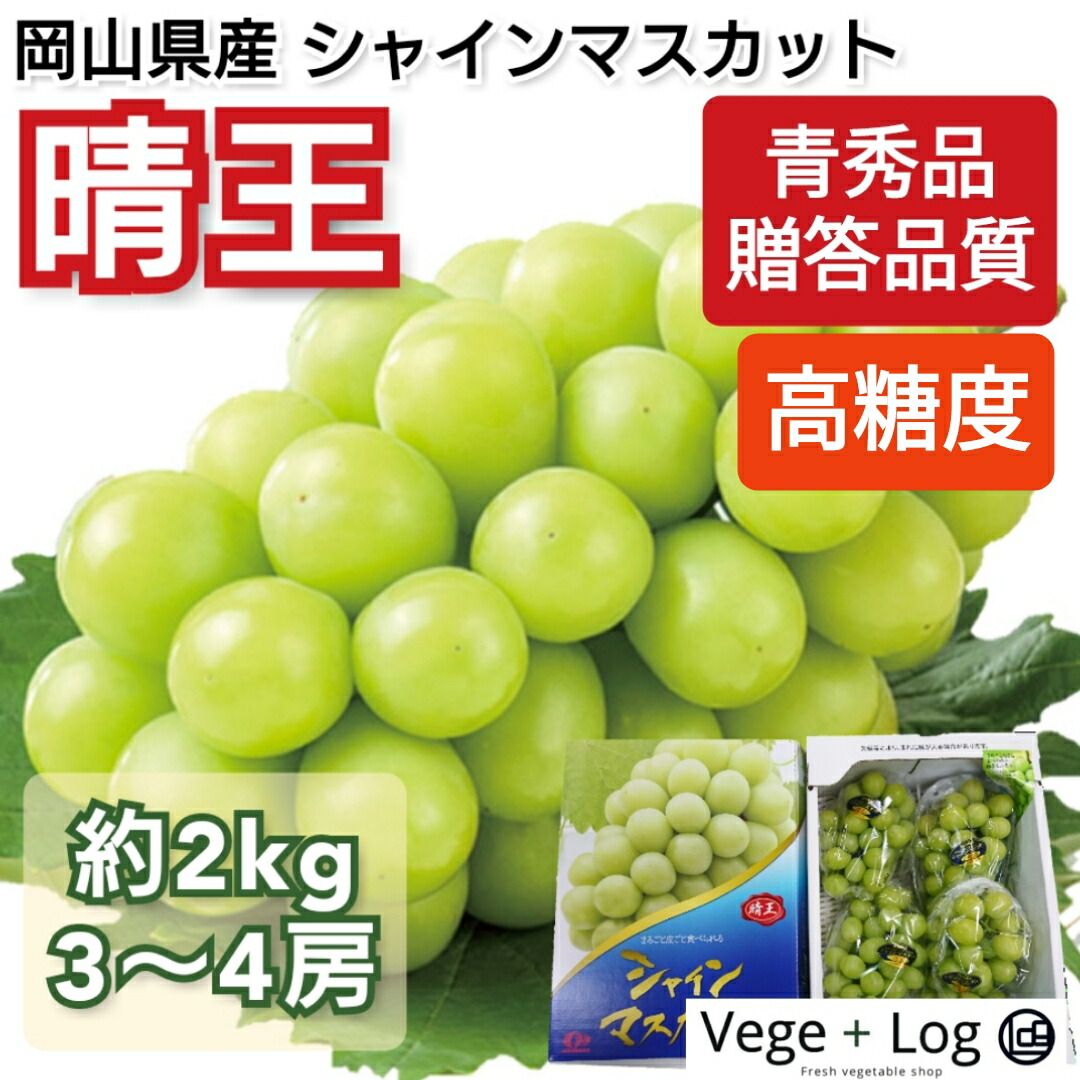 SALE／78%OFF】 岡山県産 最高級シャインマスカット 晴王 はれおう 青秀品 約2kg 3~4房 JA晴れの国おかやま 船穂ぶどう部会  化粧箱入 お中元 お供え 敬老の日 お歳暮 ギフト 贈答品質 高級品 ブランドシャインマスカット クール宅急便 本州送料無料 fucoa.cl