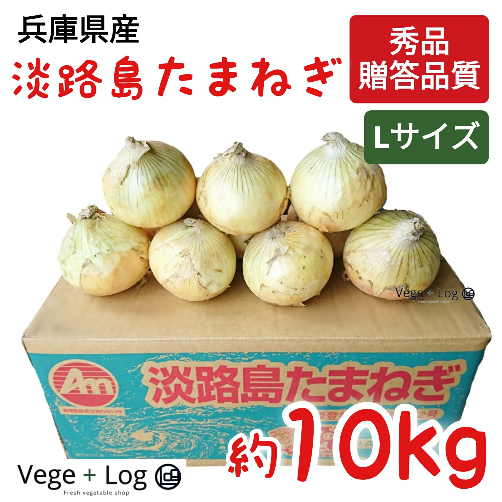 市場 兵庫県産 ギフト用 贈答品質 Lサイズ 秀品 約10kg 淡路島たまねぎ