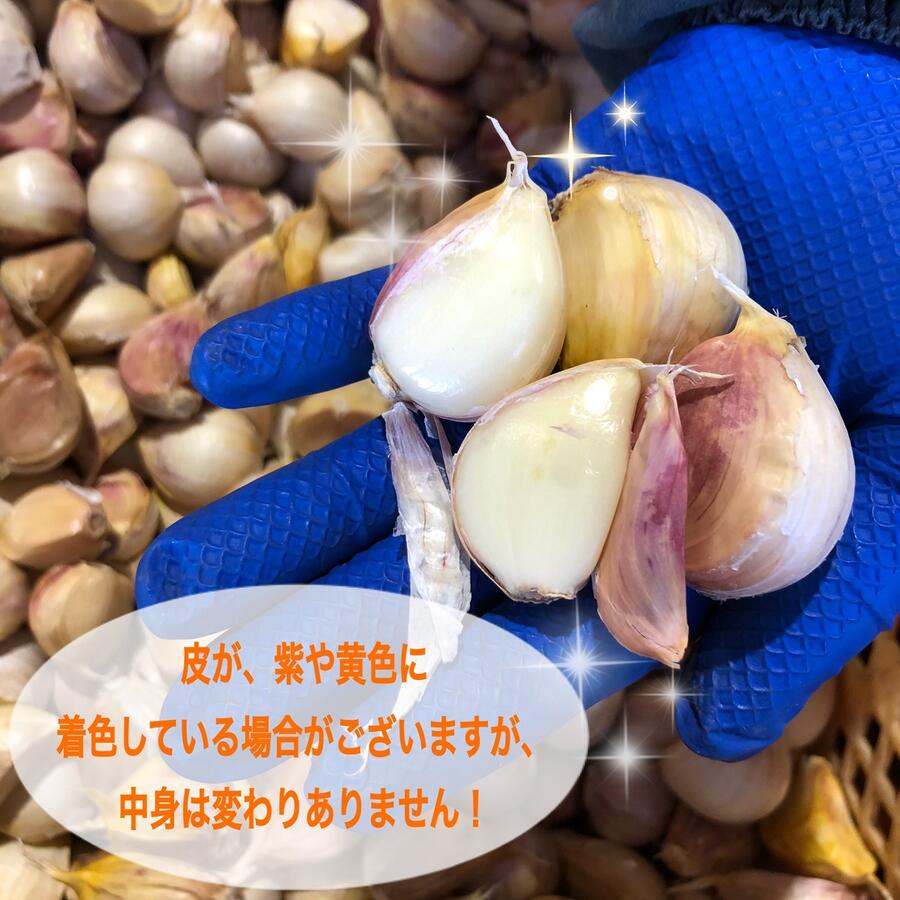 15周年記念イベントが-DAVID Seeds DAVID Roasted and Salted Spicy