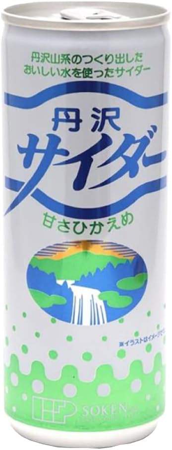 創健社 丹沢サイダー 250ml 60本 父の日
