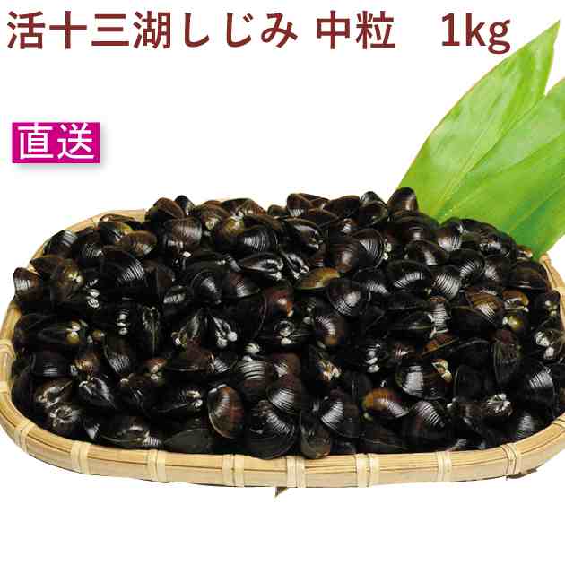 トーサム 活十三湖しじみ 中粒 1kg 産地直送　父の日