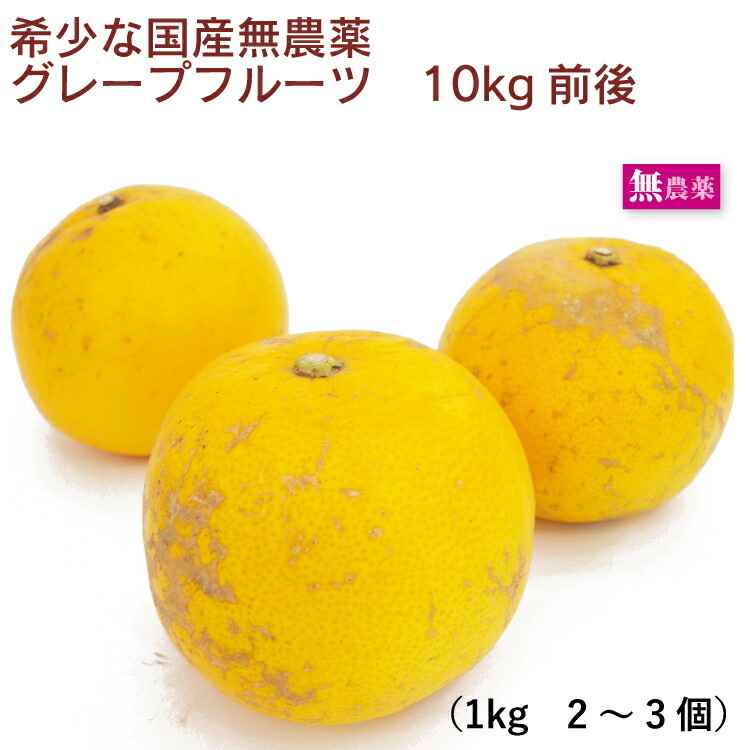 グレープフルーツ 10kg前後　鹿児島産　果物 安心な無農薬栽培　防腐剤、防カビ剤、ワックスなど不使用