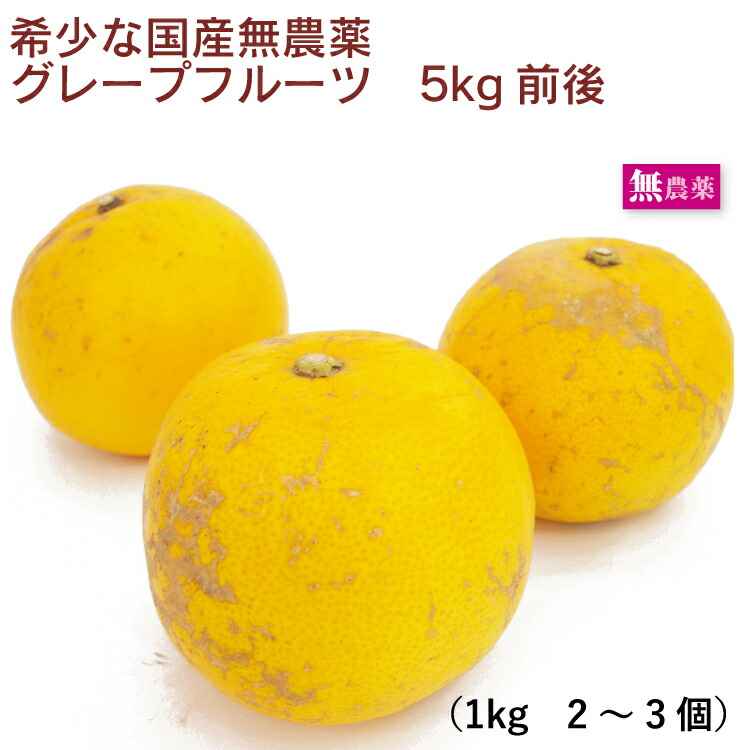 グレープフルーツ 5kg前後 鹿児島産 果物 安心な無農薬栽培 防腐剤、防カビ剤、ワックスなど不使用