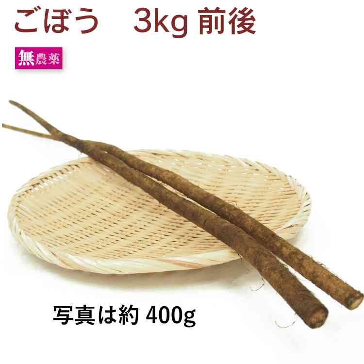 ごぼう 無農薬栽培 3kg前後