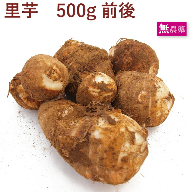 里芋 無農薬栽培 500g 新商品!新型