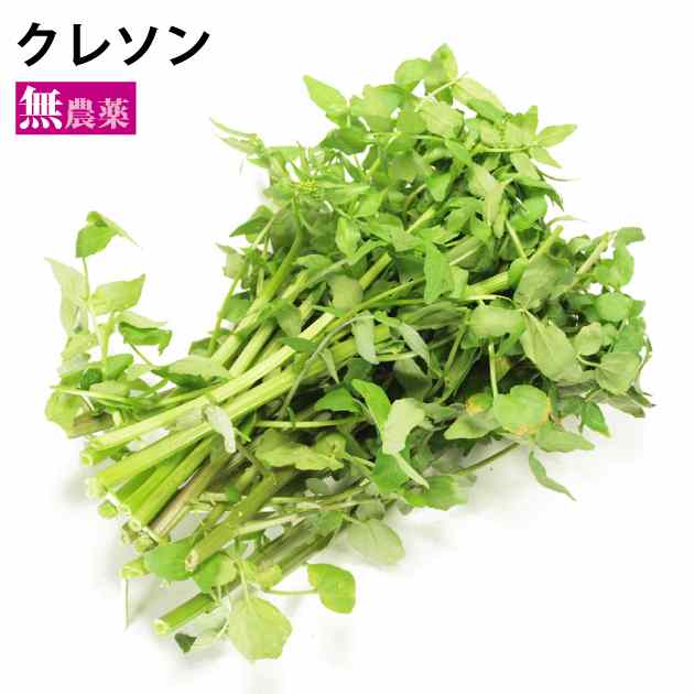人気の野菜 クレソン 静岡県産 無農薬栽培 100ｇ前後 富士山麓の湧き水 辛み強め サラダ 鍋 豚しゃぶ 【選べます 5・10・15・20袋】