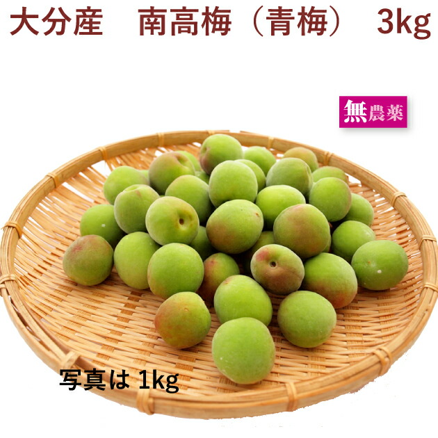 【予約】大分県杵築市産　南高梅（青梅）3kg前後　 無農薬栽培　※発送予定：5/27頃～