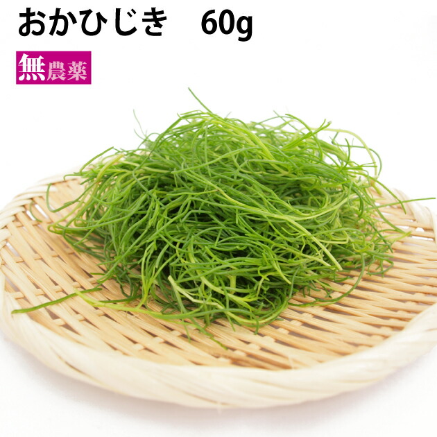 有機おかひじき　60g前後　10袋 千葉産　無農薬　父の日