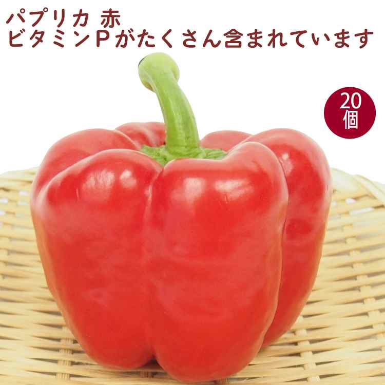 パプリカ 赤 20個 低農薬栽培 熊本産 食卓に華やかな彩を添える食材