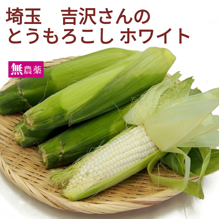 とうもろこし ホワイト 白いとうもろこし 無農薬栽培 埼玉県産 とっても甘い 【1・5・10・15・20・30・40・50本から選べます】|ベジタブルハート