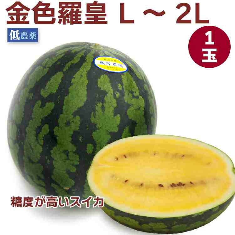 糖度が高いすいか　金色羅皇（こんじきらおう）L～2Lサイズ　6～7kg前後 1玉　大玉　ギフト ※7/29から発送予定｜ベジタブルハート