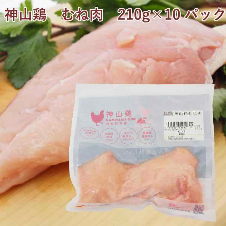 イシイフーズ 神山鶏 むね肉 210g ×10パック　父の日