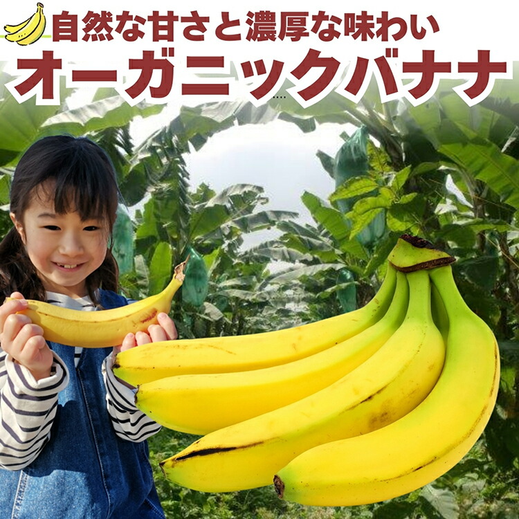 楽天市場】バナナ1ケース、10Kg前後、5房前後、75本前後