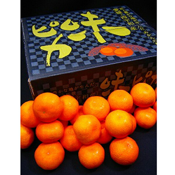 楽天市場】2026年1月分予約 愛媛産 味ピカ 小太郎みかん 2kg 30個〜50