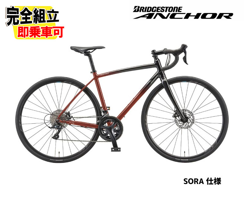 楽天市場】2025 ブリヂストン アンカー RL6D ソラ BRIDGESTONE ANCHOR