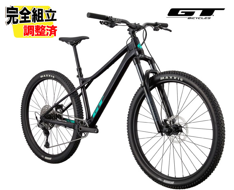 (特典付き!)GT ジーティー ZASKAR LT ELITE ザスカー エル・ティー エリート ブラック 11speed 29インチ MTB マウンテンバイク
