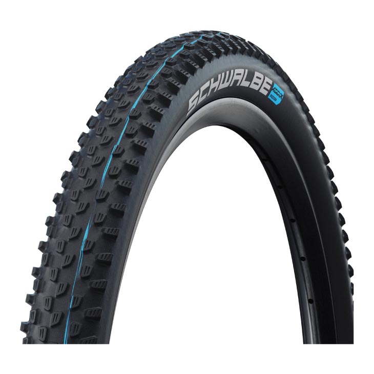 SCHWALBE シュワルベ RACING RAY 一ころ 花の冠(1本)MTB タイア