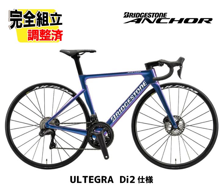 楽天市場】(特典付き!)2026 BRIDGESTONE ANCHOR ブリヂストン アンカー