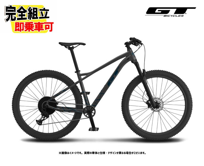 楽天市場】2025 GT AVALANCHE EXPERT V2 アバランチェ エキスパート 29