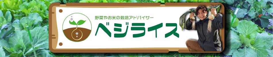 ��������������Ź���٥��饤������������������Ź��������Ȥ�������ڱ�ޤ�OK��