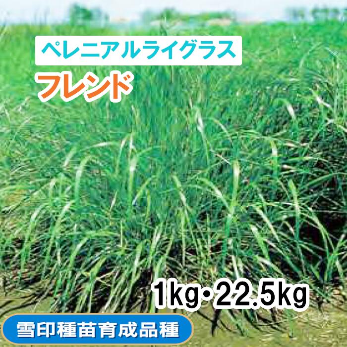 【 干し草用 ペレニアルライグラス 】 馴染み （晩生） 1kg 22.5kg 馬糧 放牧 作りだす用 緑化 緑肥 内果皮 雪印種苗