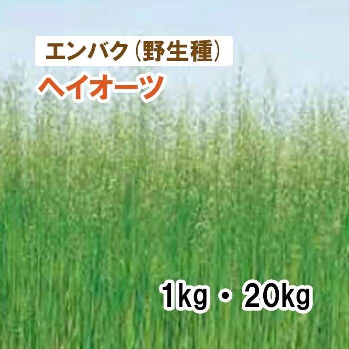 【 干し草用 アウェナ ストリゴサ 】 ヘイオーツ（早生）1kg 20kg 馬糧 放牧 採草 作りだす用 アウェナストリゴサ 緑化 緑肥 内果皮 雪印種苗
