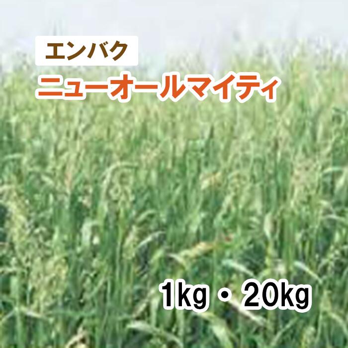 【 飼料用 エンバク 】 ニューオールマイティ（中生）1kg 20kg 牧草 放牧 採草 栽培用 緑化 緑肥 種子 雪印種苗