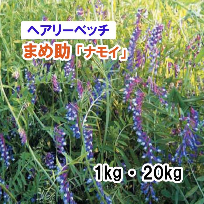 【 干し草用 ヘアリーベッチ 】 忠実忠実しい助 「 ナモイ 」（早生） 1kg 20kg 馬糧 放牧 採草 作りだす用 緑化 緑肥 内果皮 雪印種苗